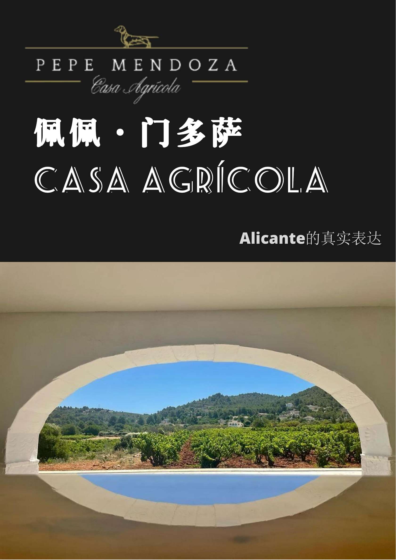 艾维内诺红葡萄酒