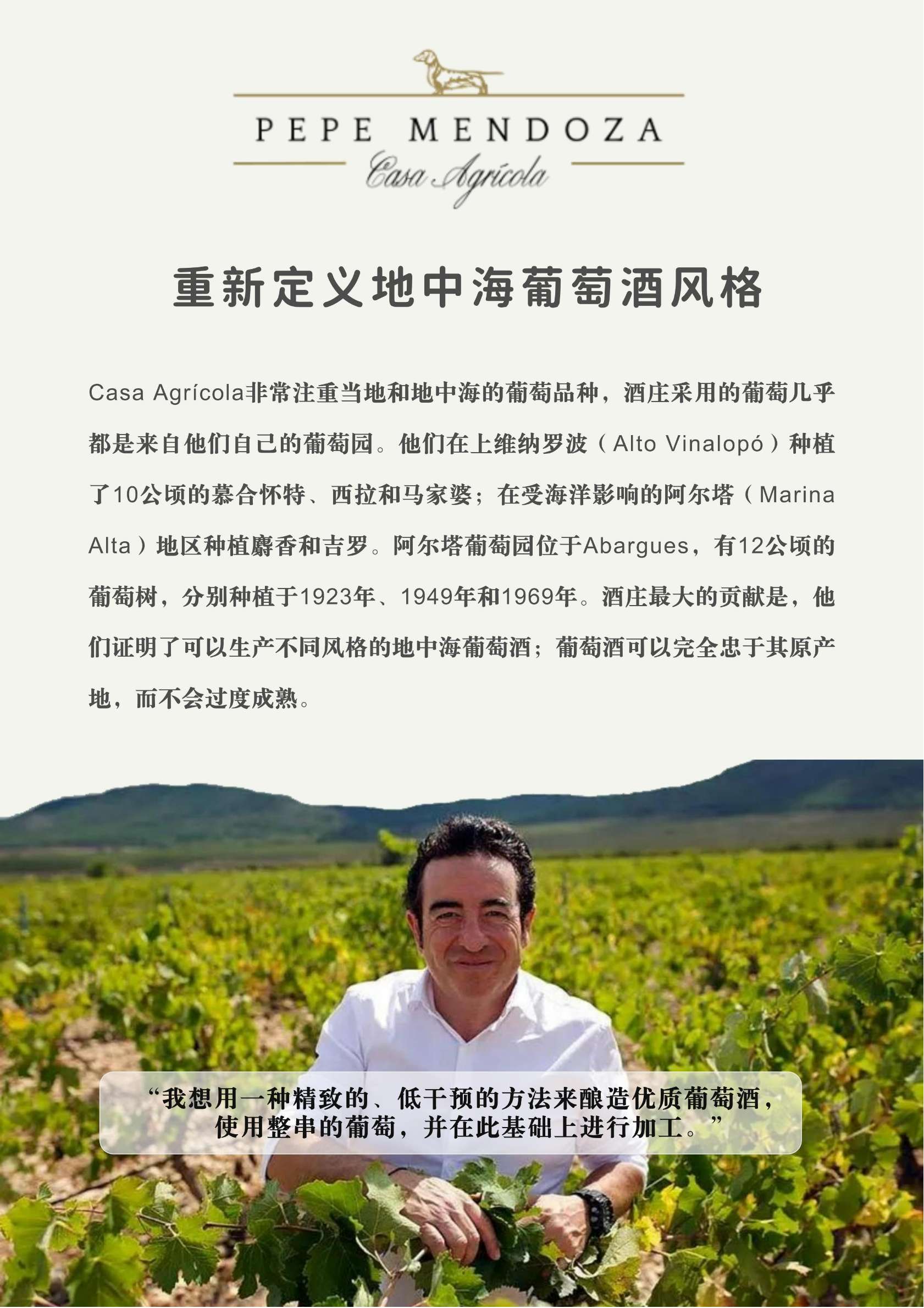 吉罗阿巴尔盖斯红葡萄酒